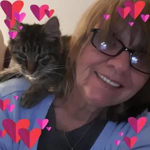 Meet your Posher, Ann